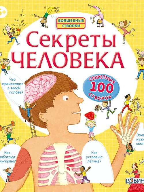 Секреты человека. Книга с окошками