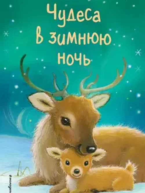 Чудеса в зимнюю ночь